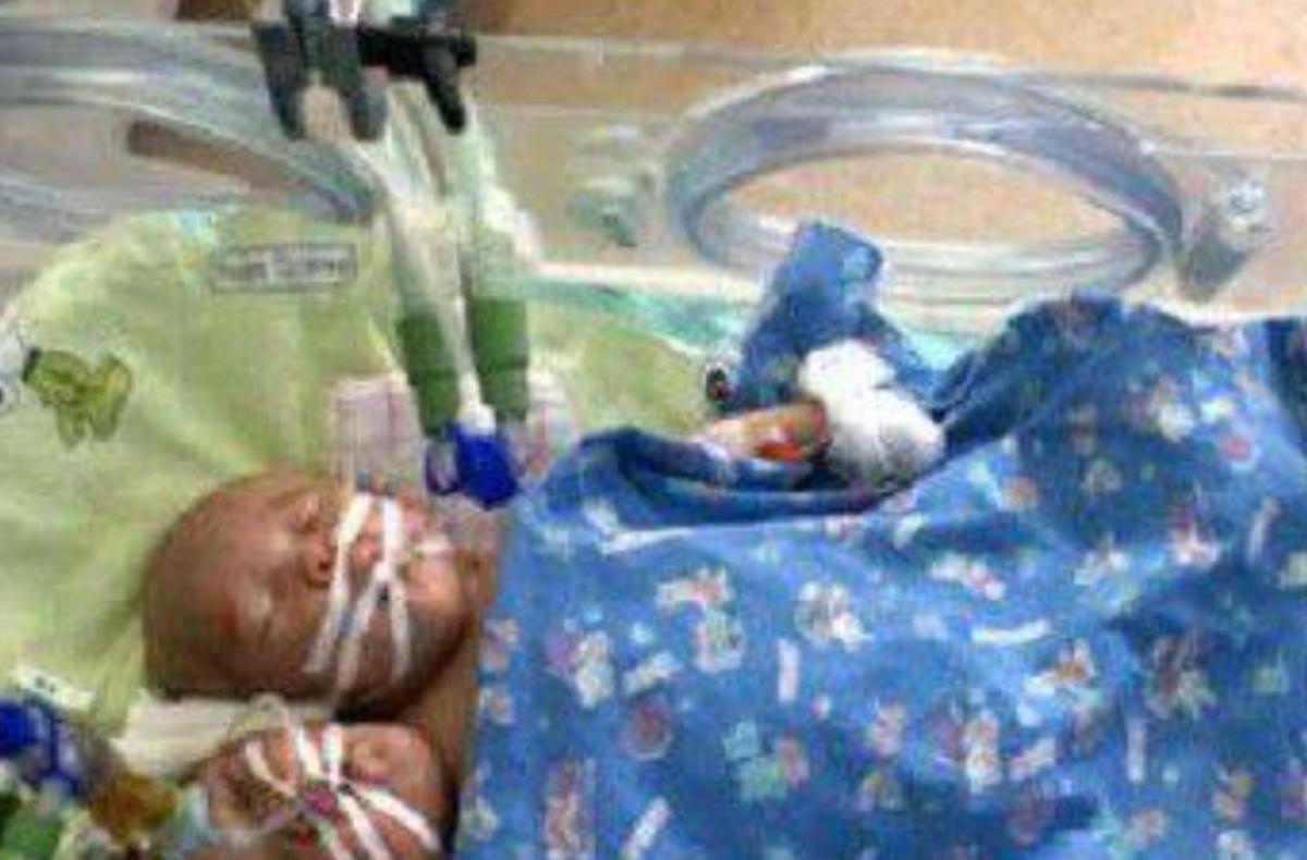 雙頭姐妹，時(shí)代背景下的傳奇故事最新進(jìn)展