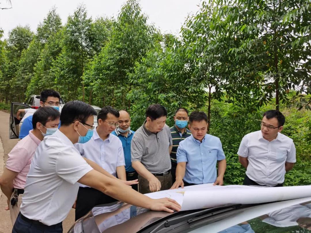 南寧龍象谷最新資訊，游玩指南與技能學(xué)習步驟全解析