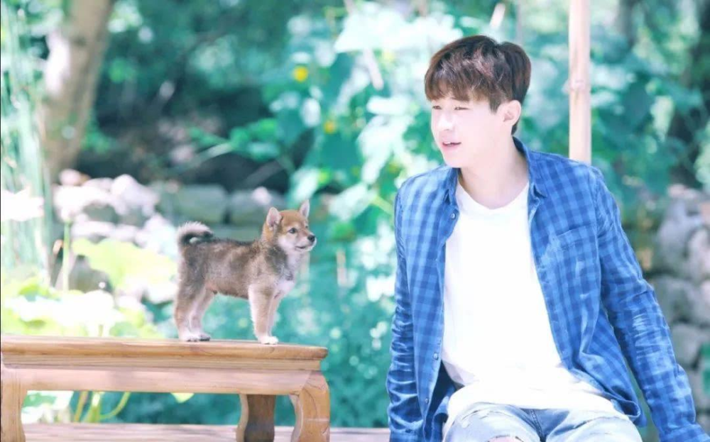 夏雪黃磊攜手演繹別樣精彩人生，新作品震撼來(lái)襲！???