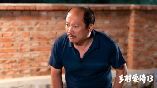 當代鄉土風(fēng)情歡樂(lè )呈現，最新鄉村喜劇劇集