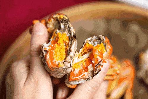 ??陽(yáng)澄湖螃蟹上市季節情報，吃貨必知的秋季美味盛宴！??