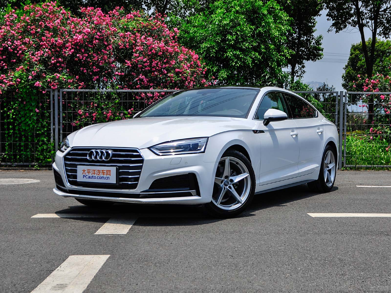 新款奧迪A5價(jià)格及圖片，自然美景探索之旅的絕佳選擇