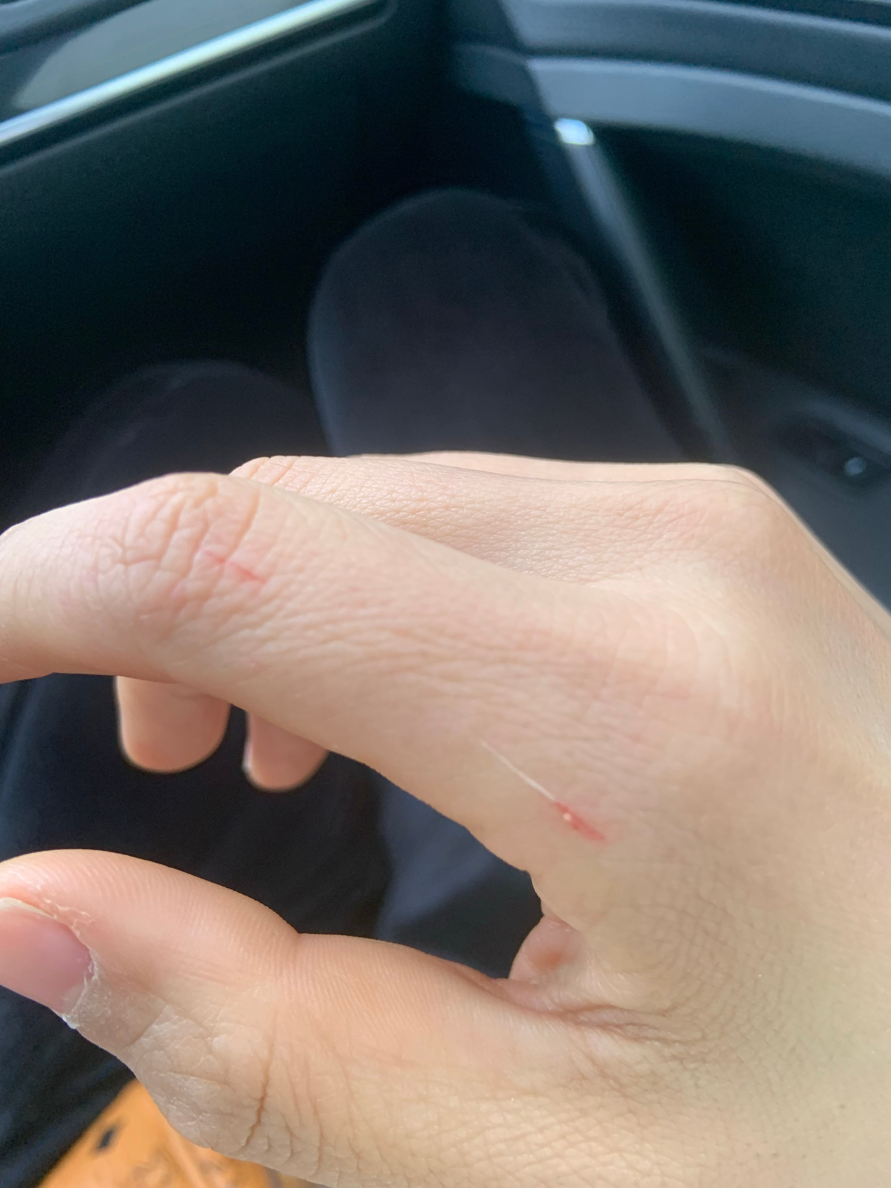 最新口子，開(kāi)啟學(xué)習之旅，擁抱變化的力量