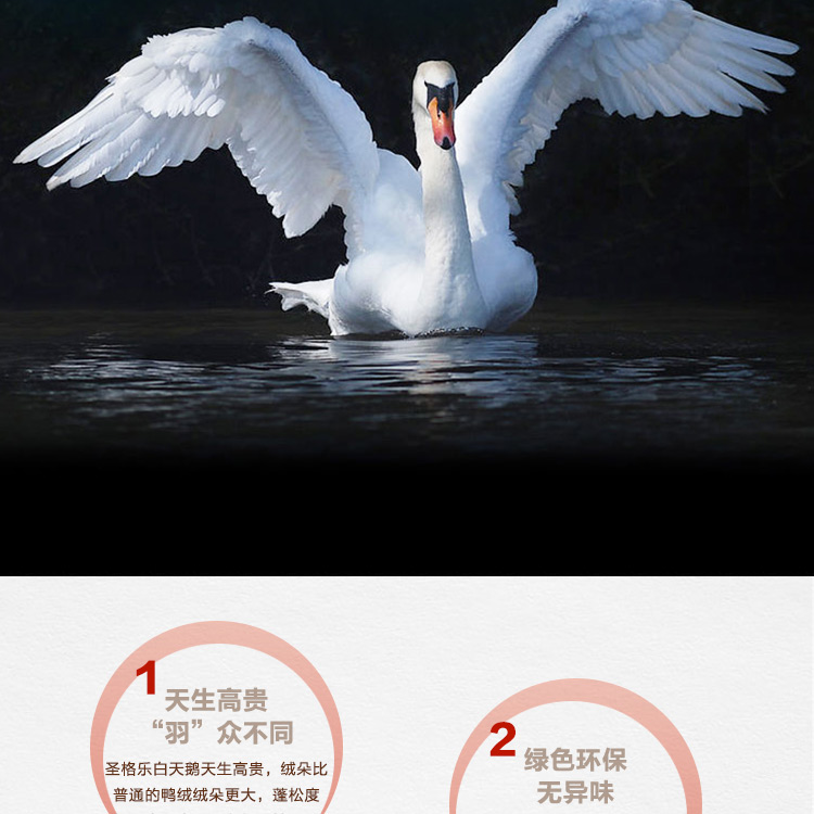 探索小巷羽絨寶藏，90白鵝絨價(jià)格與溫暖故事