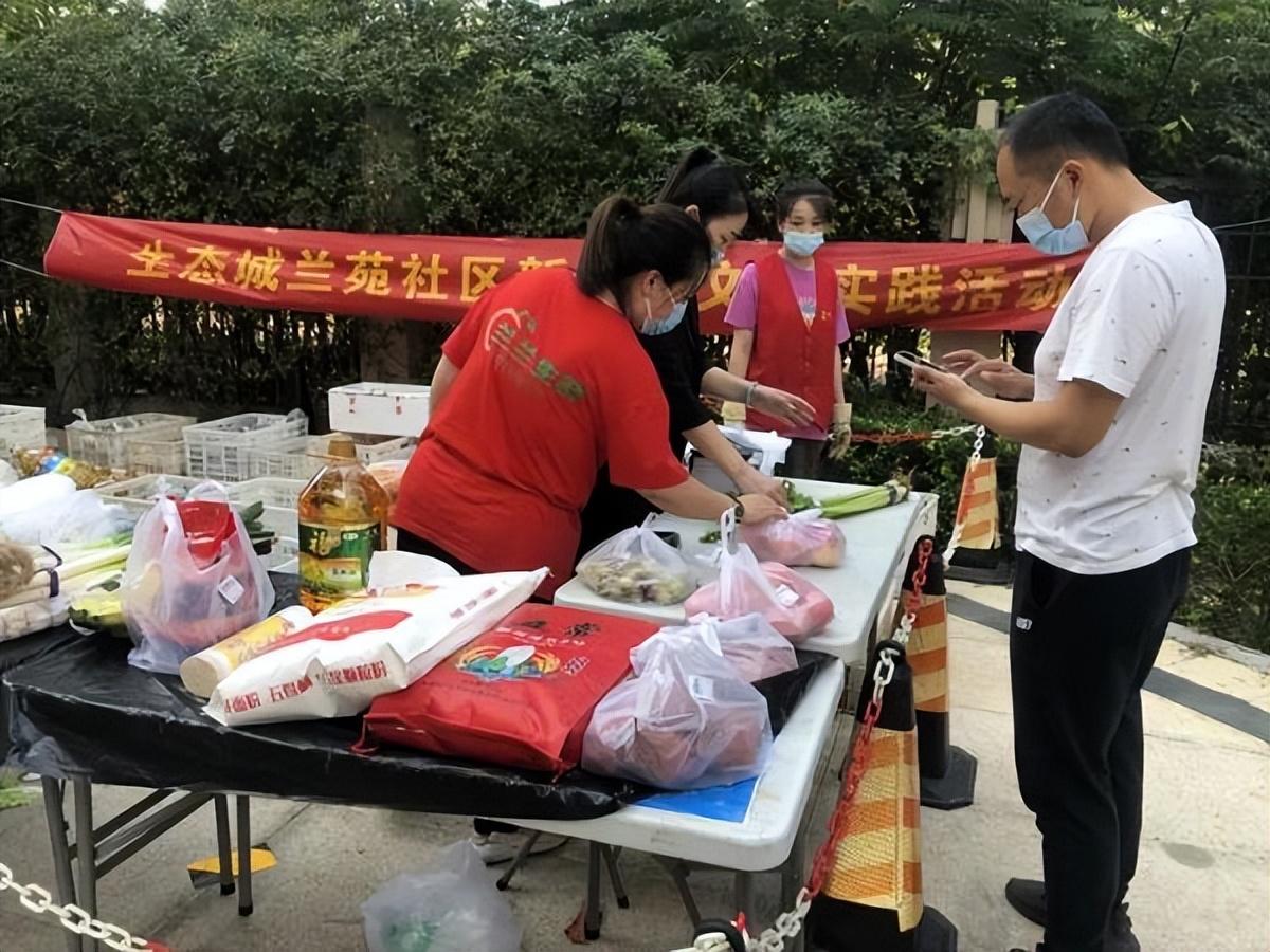 保利華潤紫云價(jià)格深度解析，探尋背后的故事與地位影響