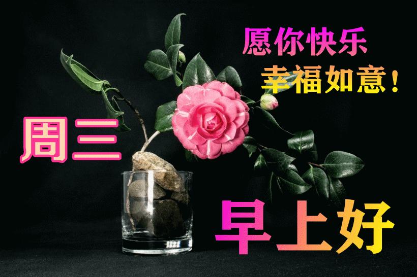 最新早晨問(wèn)候動(dòng)態(tài)表情包，溫馨問(wèn)候，從表情開(kāi)始！