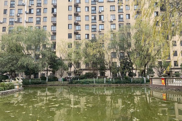 中豪明珠城最新價(jià)格，時(shí)代印記與城市的脈動(dòng)