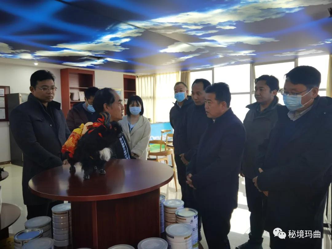 高原之寶上市，學(xué)習、蛻變與自信的輝煌之旅