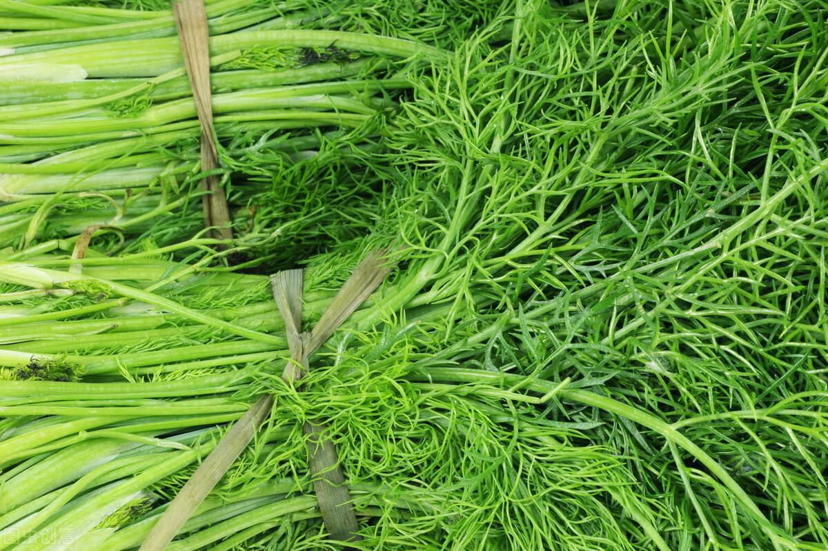 茴香價(jià)格動(dòng)態(tài)，香氣變化與你的關(guān)聯(lián)