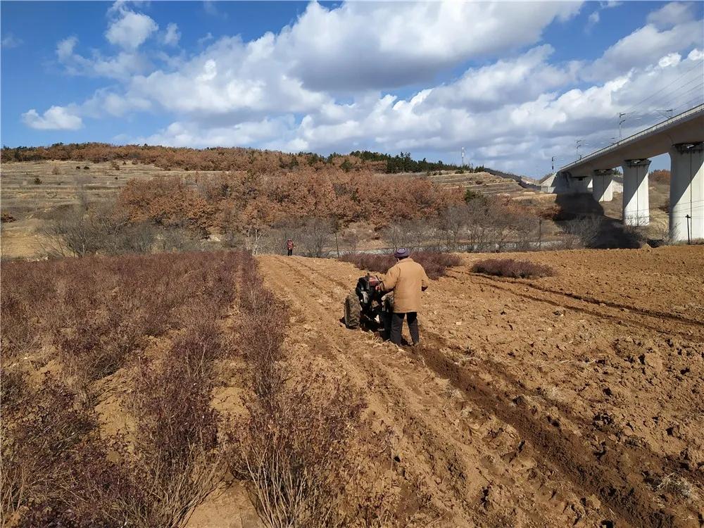 揭秘衡陽(yáng)張家山規劃更新，小巷風(fēng)情與隱藏小店的獨特魅力