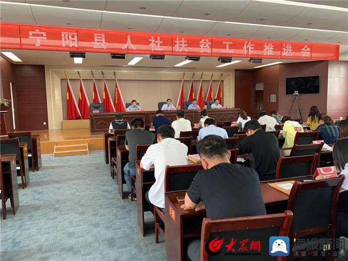 寧陽(yáng)網(wǎng)最新資訊，城市中的溫情日常