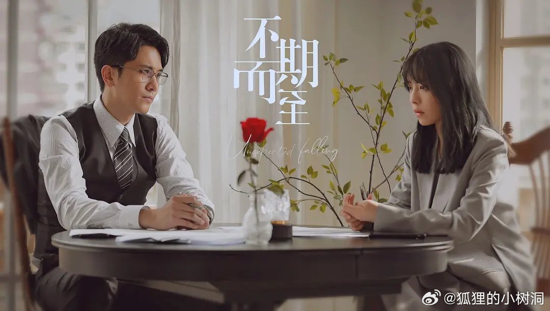 不期而至電視劇，從入門(mén)到進(jìn)階的觀(guān)看指南
