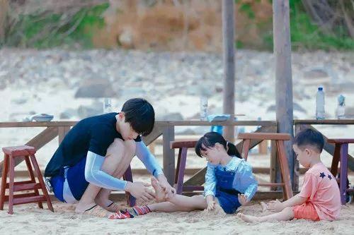 最新TV版資訊深度剖析，電視劇熱潮的影響力與影響