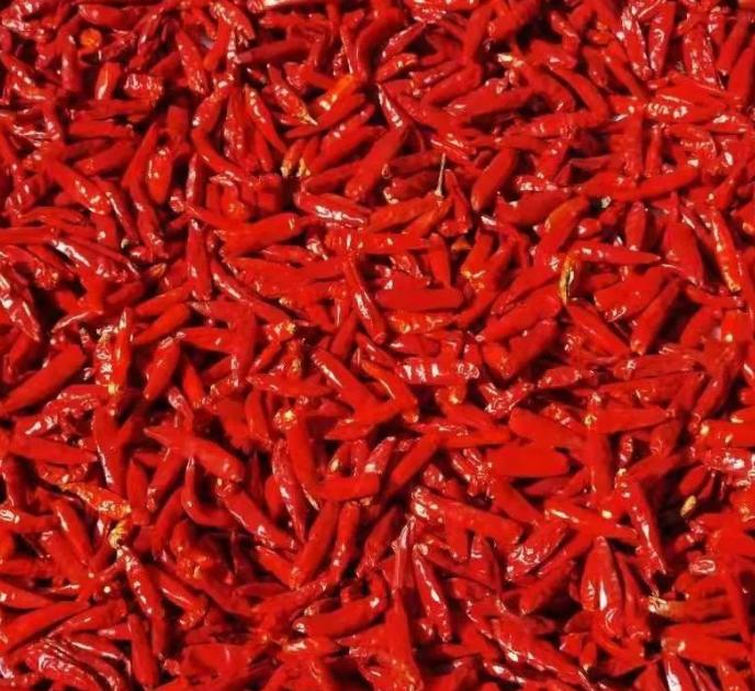辣椒干市場(chǎng)走勢與行業(yè)深度分析，行情概覽與產(chǎn)業(yè)洞察