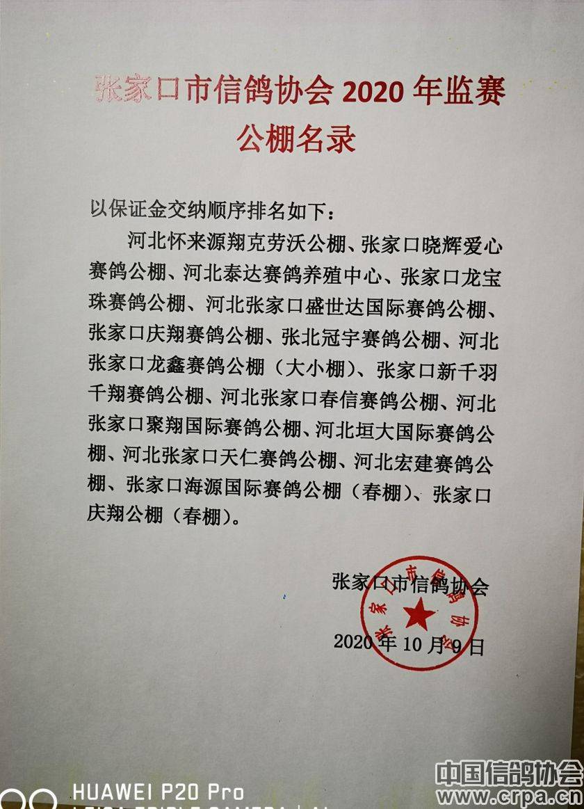 東光信鴿協(xié)會(huì )最新通告，小巷深處的獨特風(fēng)味揭秘與信鴿活動(dòng)更新通知