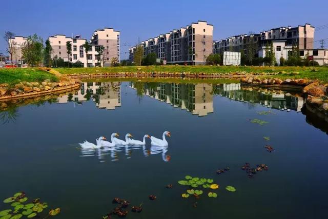 萍鄉安源湖，最新動(dòng)態(tài)揭示湖畔變革與自我超越之旅