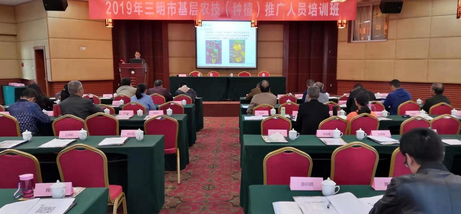 豇豆最新，廚房中的友情與家的溫馨