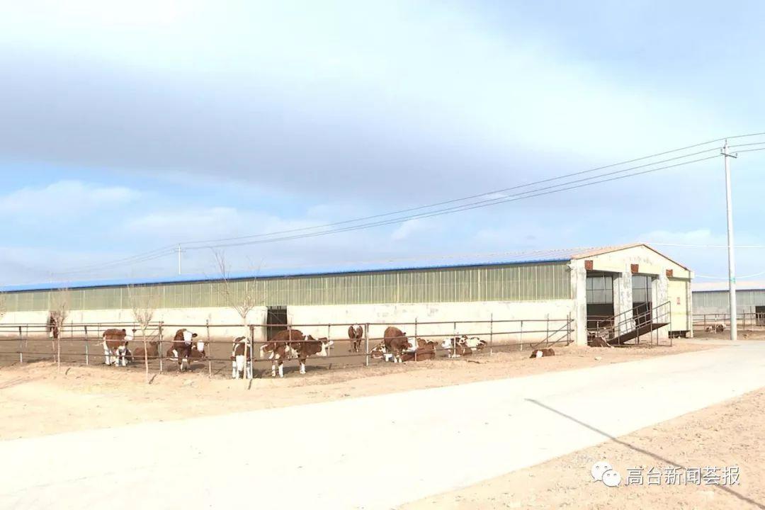 最新養殖場(chǎng)建設政策解讀，探索之旅啟程