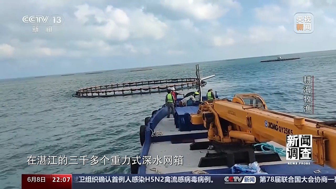 最新海水養殖,最新海水養殖，一種前沿農業(yè)技術(shù)的觀(guān)點(diǎn)分析