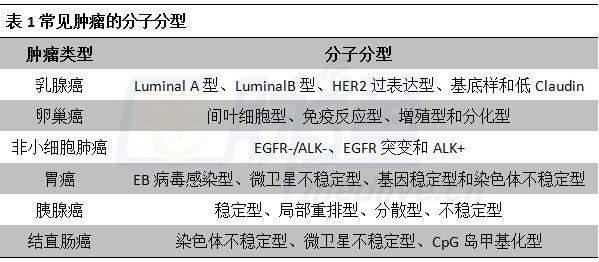 最新乳腺分類(lèi)科技產(chǎn)品介紹，引領(lǐng)乳腺健康新篇章