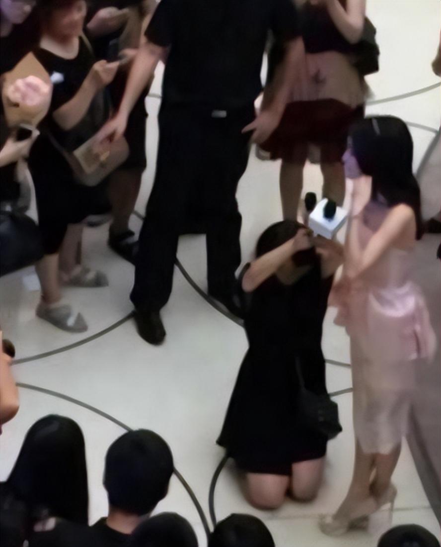 明星麥克風(fēng)，自然之旅的心靈探尋，尋找內心的寧靜之聲