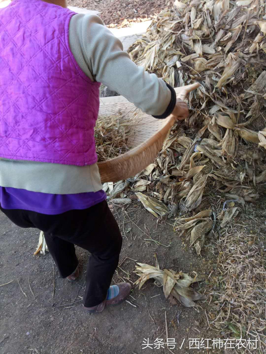 彬縣撤縣設區最新進(jìn)展，最新動(dòng)態(tài)更新