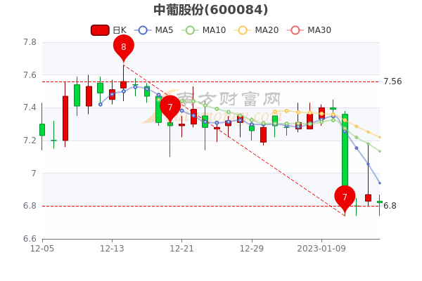 中葡股份股票行情深度分析與展望，未來(lái)走勢展望及行業(yè)前景預測。