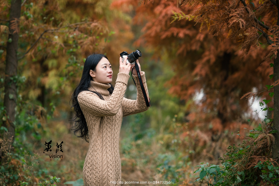 伊人在線(xiàn)電影，探索現代網(wǎng)絡(luò )影視的新境界
