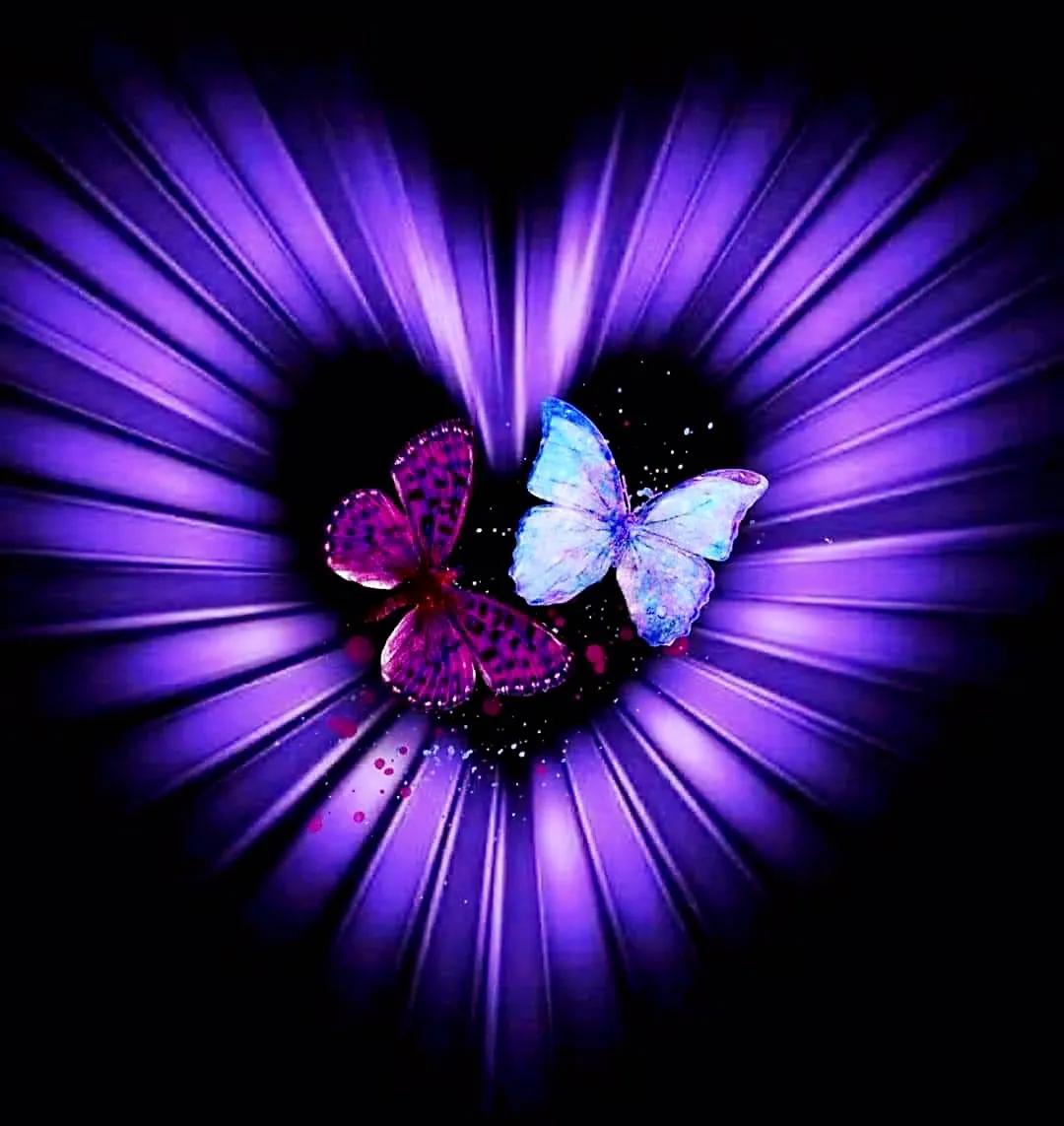 最新情感交流圈，學(xué)習、成長(cháng)與自信的力量之源