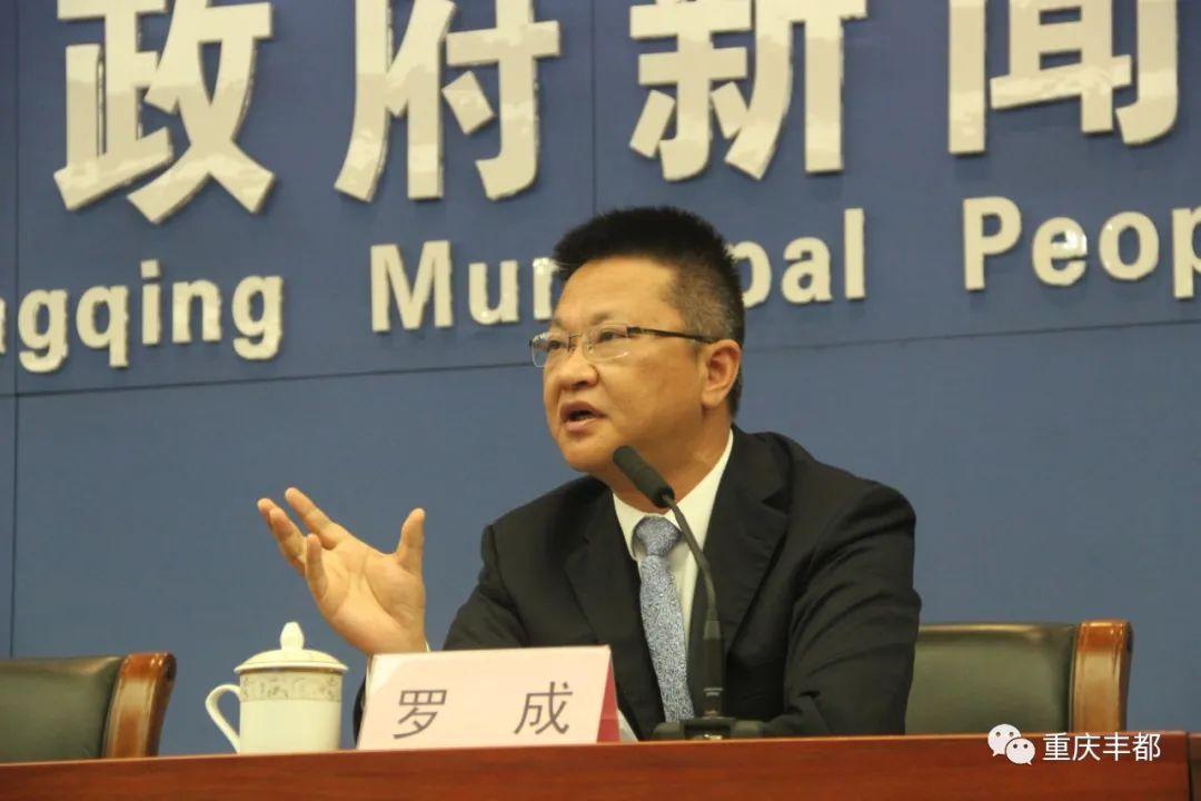 豐都新聞快訊，日常溫情與陪伴的瞬間