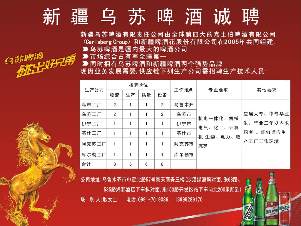 烏蘇政府最新招聘公告，應聘指南全解析