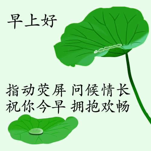 最新疫情動(dòng)態(tài)下的自然探索之旅，追尋內心的平和與寧靜