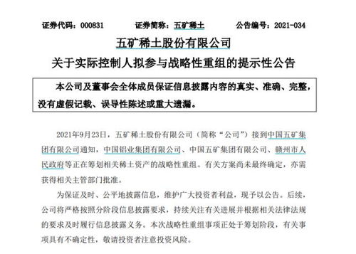 南方稀土股票，小巷中的隱秘寶藏，探索投資魅力的未知之旅