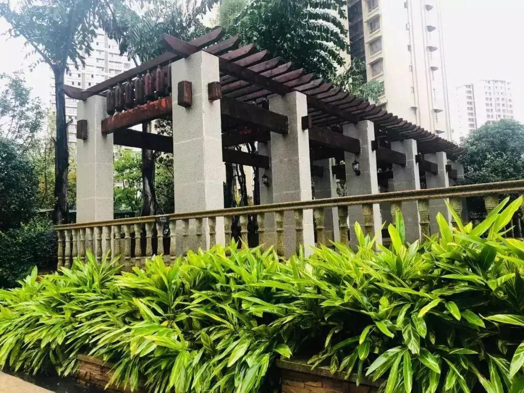 陽(yáng)光江山金岸最新動(dòng)態(tài)揭秘，全面指南與步驟詳解