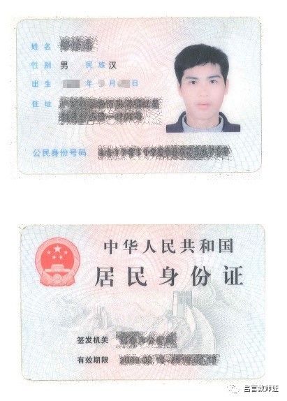 最新證照，友情與陪伴的溫馨故事之旅