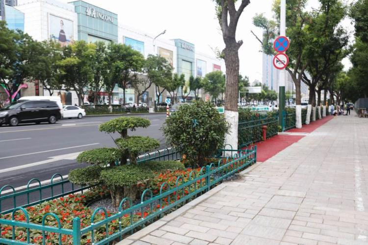 濰坊市奎文區改造工程，自然美景的探索之旅