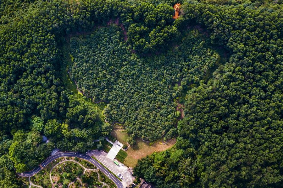 香港演員林，溫馨日常的點(diǎn)滴記錄