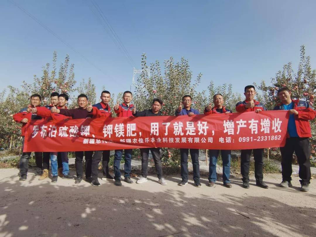 新疆國投羅鉀最新動(dòng)態(tài)，全面指南與最新發(fā)展概述