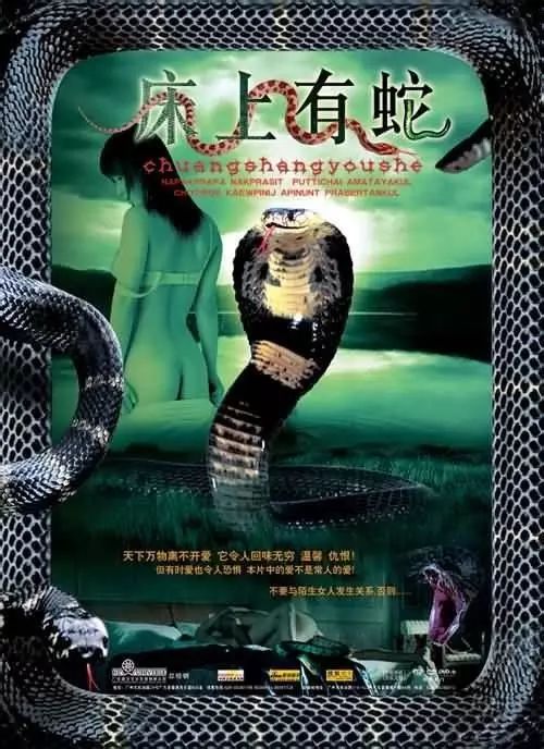 最新蛇片，蛻變的旅程，召喚自信與成就感的冒險之旅