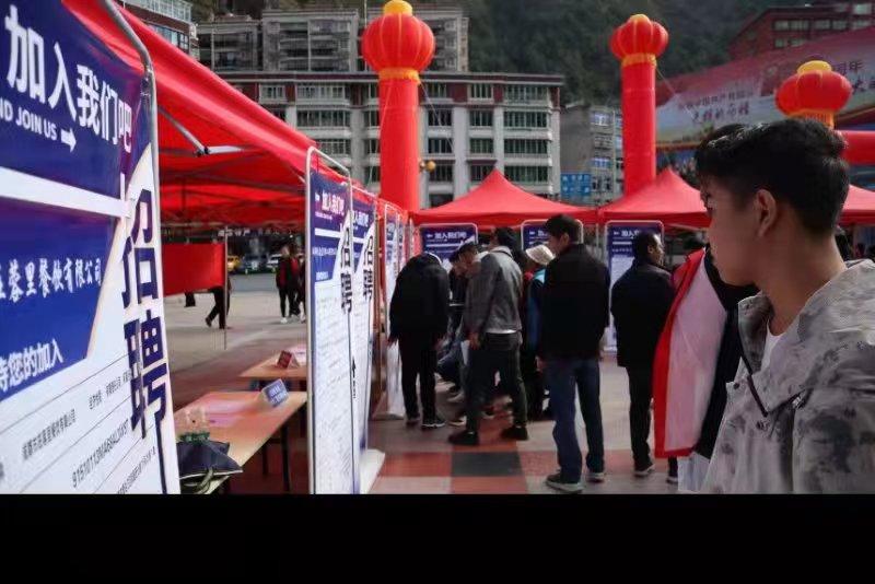 青白江招聘信息探索，小巷中的職業(yè)機遇