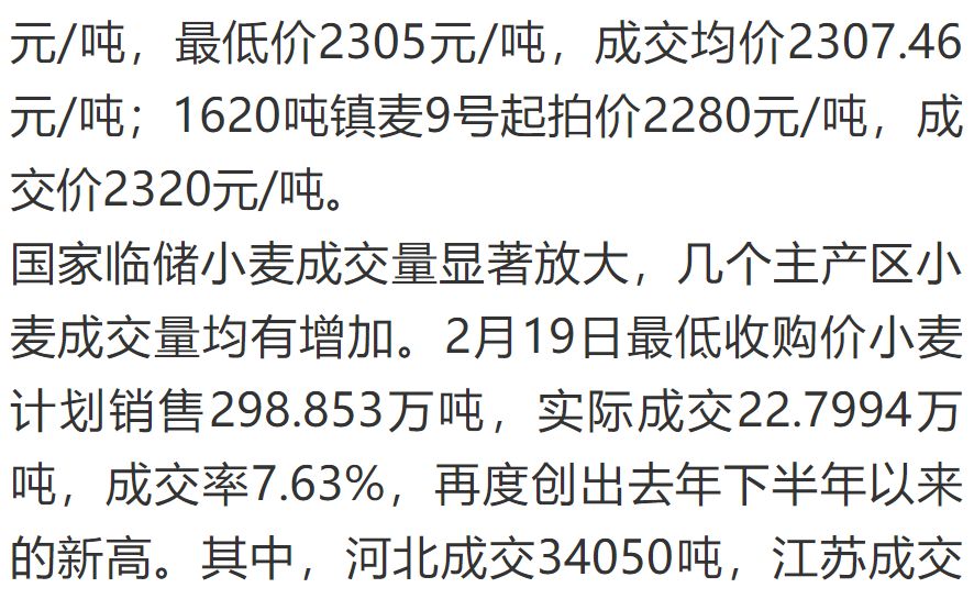 山東小麥最新價(jià)格及綠色之旅探尋內心平靜之旅