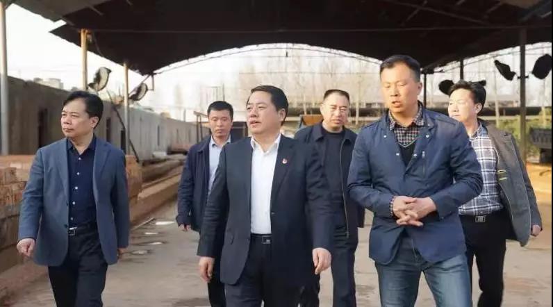 商丘王仲田最新動(dòng)態(tài)，探索自然美景的旅行，尋求內心平和之旅