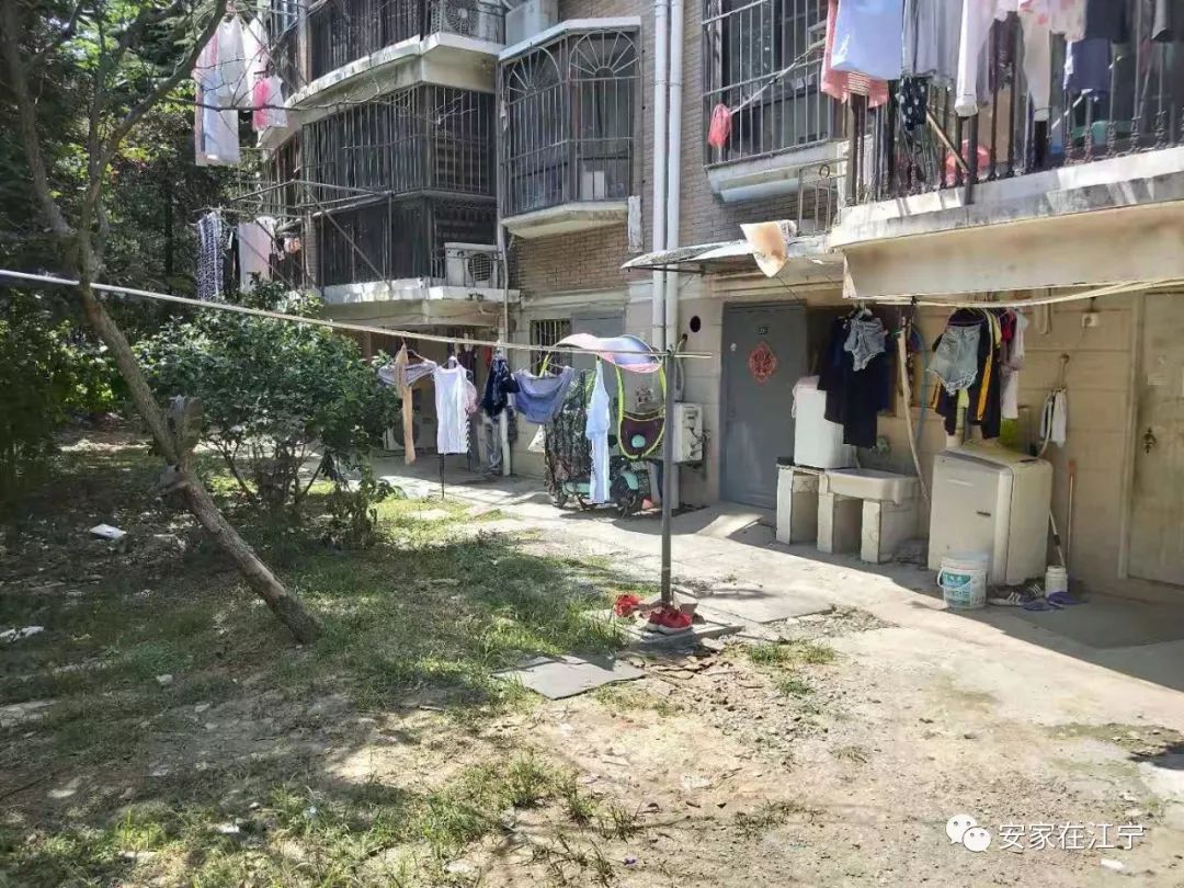 最新大雜亂時(shí)代，混沌與秩序的重建之路