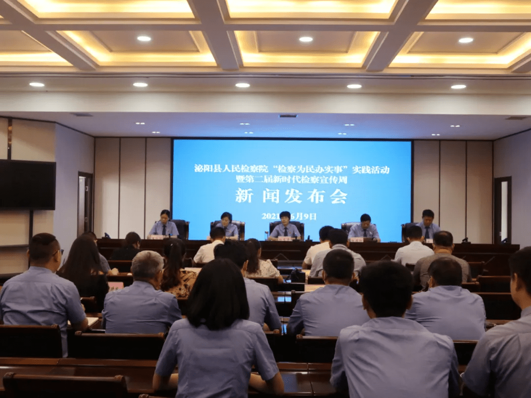 泌陽(yáng)新聞最新動(dòng)態(tài)，多元視角下的觀(guān)察與思考
