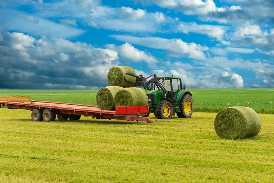 農業(yè)最新動(dòng)態(tài)，時(shí)代的脈搏與綠色希望共舞