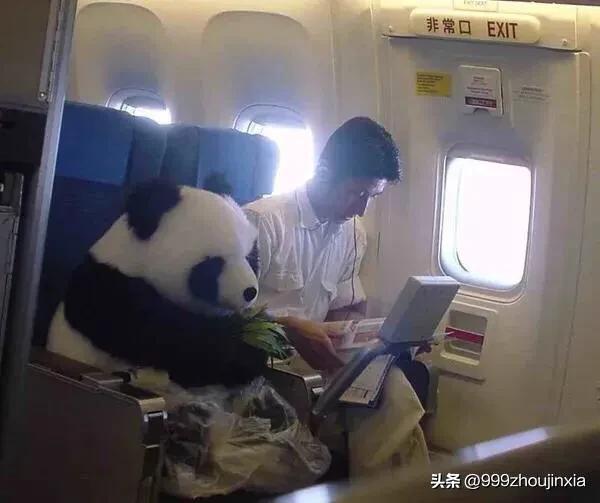 追逐變化之翼，學(xué)習鑄就自信與成就——虛幻最新探討