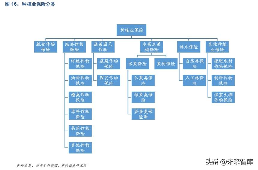 車(chē)險最新費率解析與觀(guān)點(diǎn)論述