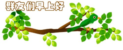 最新清晨祝福短信，晨曦中的溫暖問(wèn)候，傳遞美好祝愿與關(guān)懷
