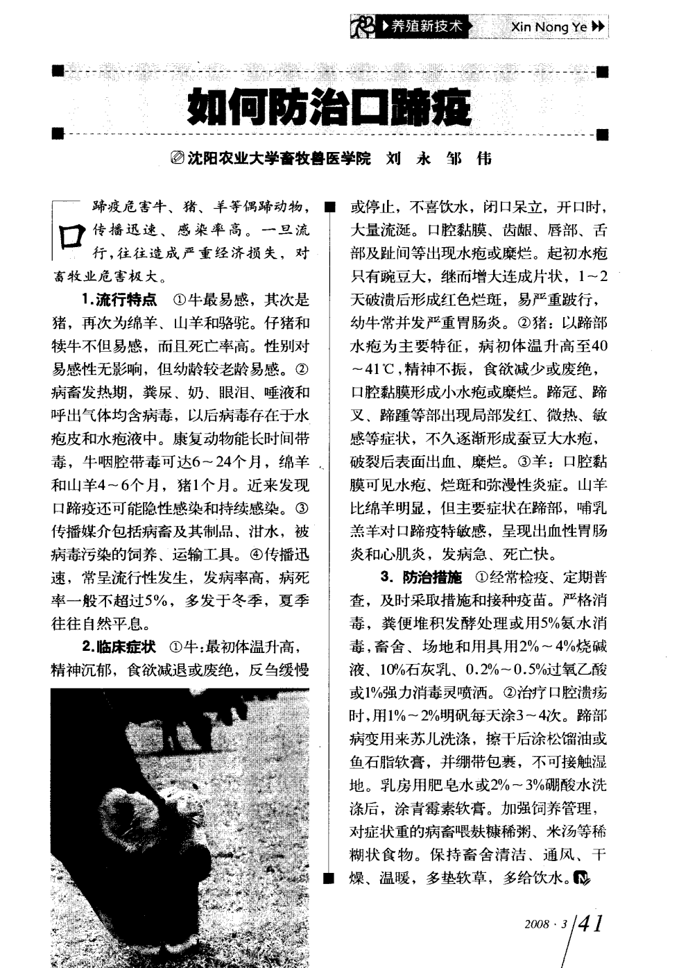 口蹄疫最新科研，自然探險與內心平和的追尋之旅