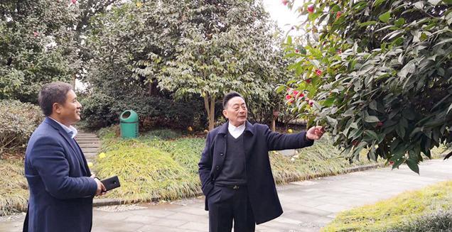 最新花木求購，開(kāi)啟一場(chǎng)尋綠之旅的溫馨旅程